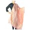 Buy Peach & Gold checker print statement duppata.